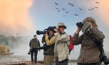 Tourists birdwatching in Bwindi Impenetrable Forest with binoculars, scanning the canopy for rare species on a guided nature walk.