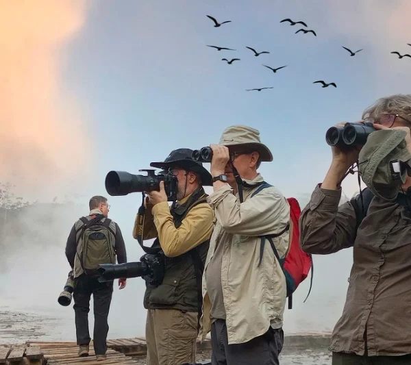 Tourists birdwatching in Bwindi Impenetrable Forest with binoculars, scanning the canopy for rare species on a guided nature walk.