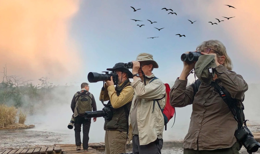 Tourists birdwatching in Bwindi Impenetrable Forest with binoculars, scanning the canopy for rare species on a guided nature walk.