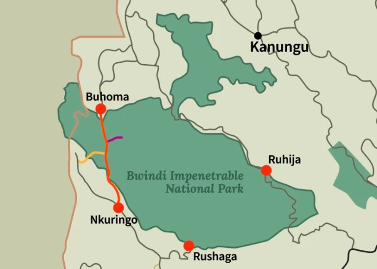 Illustrated map of Bwindi Impenetrable National Park highlighting its four main trailheads — Buhoma, Ruhija, Rushaga, and Nkuringo — used for gorilla trekking and forest access.