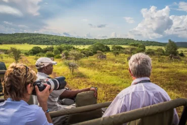 Tourists enjoying a Uganda safari in an open-top van in the wilderness – Uganda safari frequently asked questions