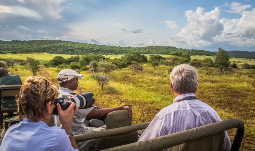Where to Find the Big Five in East Africa