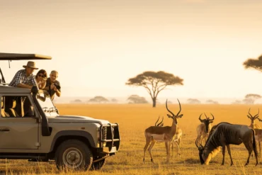 A safari truck parked on a golden savanna with people watching a herd of antelopes under soft morning light, distant acacia trees, cinematic angle.