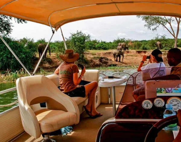 Boat full of tourists taking photos of elephants along the banks of Kazinga Channel