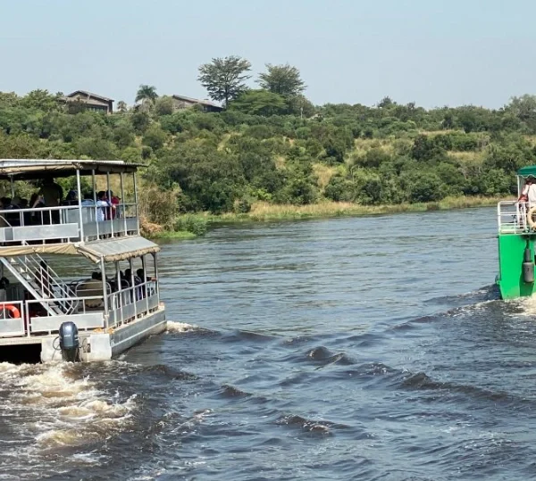 Two safari boats cruising on Lake Mburo during a guided wildlife boat tour