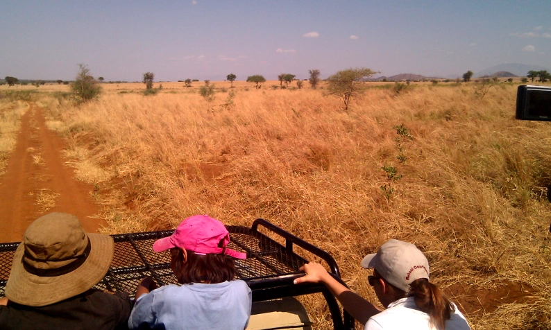 Tourists on a guided game drive in an open-roof 4x4 safari vehicle, scanning Kidepo’s rugged plains for wildlife.