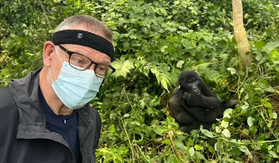 Traveler taking a selfie with mountain gorilla in the background, Congo