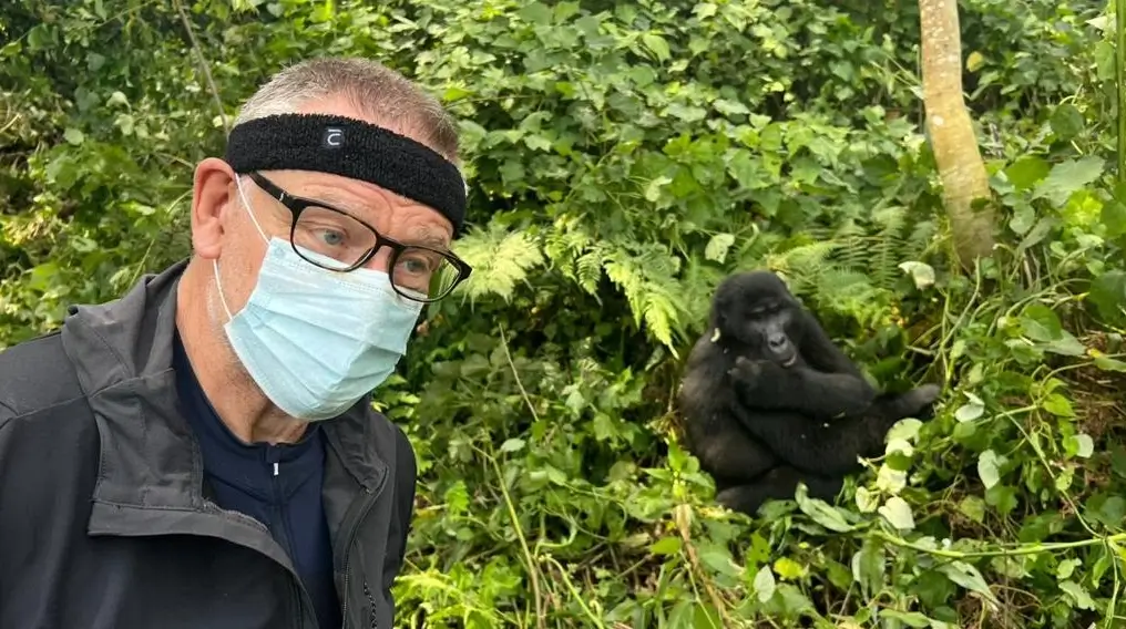 Traveler taking a selfie with mountain gorilla in the background, Congo