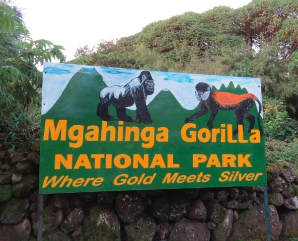 Entrance signpost to Mgahinga Gorilla National Park featuring painted gorilla artwork