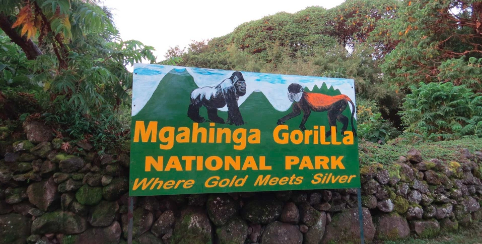 Entrance signpost to Mgahinga Gorilla National Park featuring painted gorilla artwork