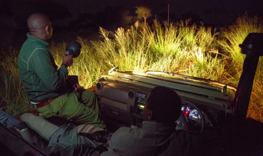 What Is the Best Night Safari in Uganda?