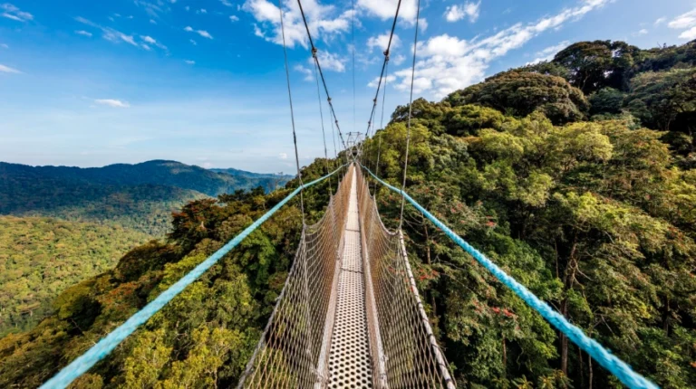 nyungwe national park
