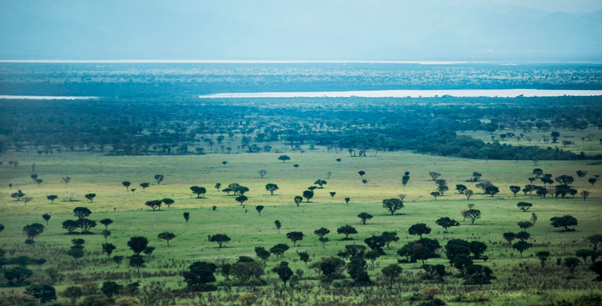 Expansive Queen Elizabeth savannah landscape with Lake George and Lake Edward in the background