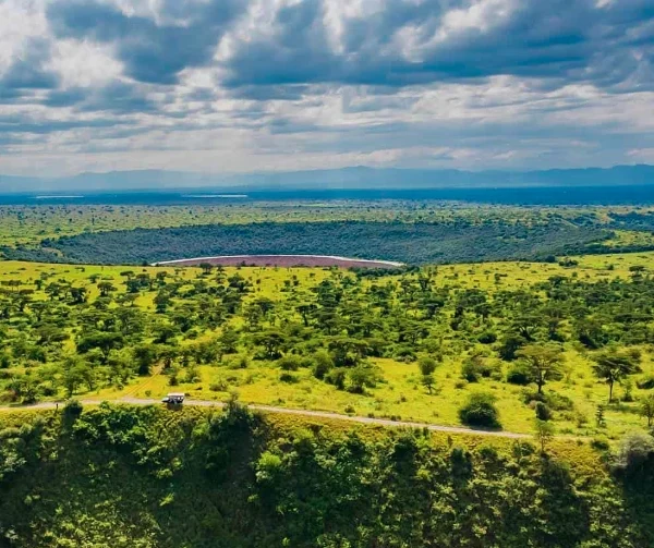 Panoramic view of Queen Elizabeth National Park with winding road cutting through savannah