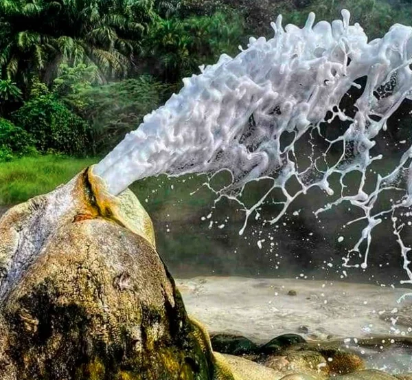 Close-up of bubbling hot springs in Semuliki National Park.
