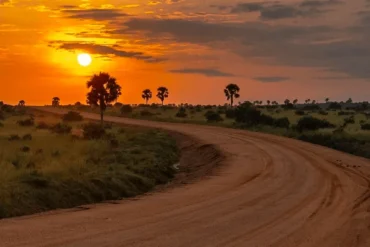 Golden-orange sunset casting a warm glow over the savannah plains of Queen Elizabeth National Park, Uganda.