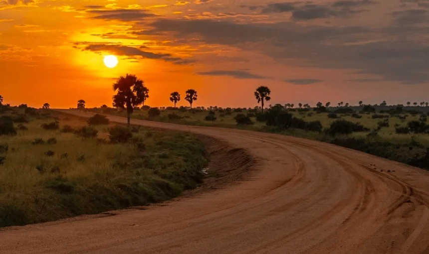 All 9 Uganda Safari Boards Explained