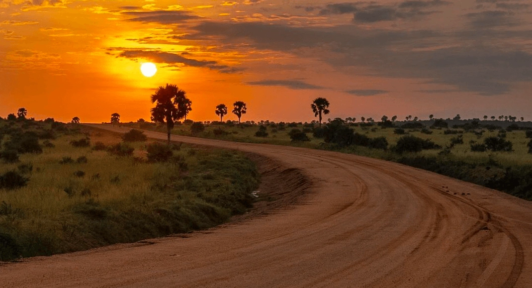 Golden-orange sunset casting a warm glow over the savannah plains of Queen Elizabeth National Park, Uganda.