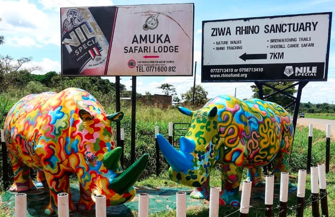 Life-size rhino statues marking the entrance to Ziwa Rhino Sanctuary in Uganda