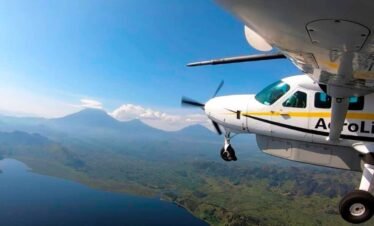 3 Days Bwindi Fly-In Gorilla Trekking Safari