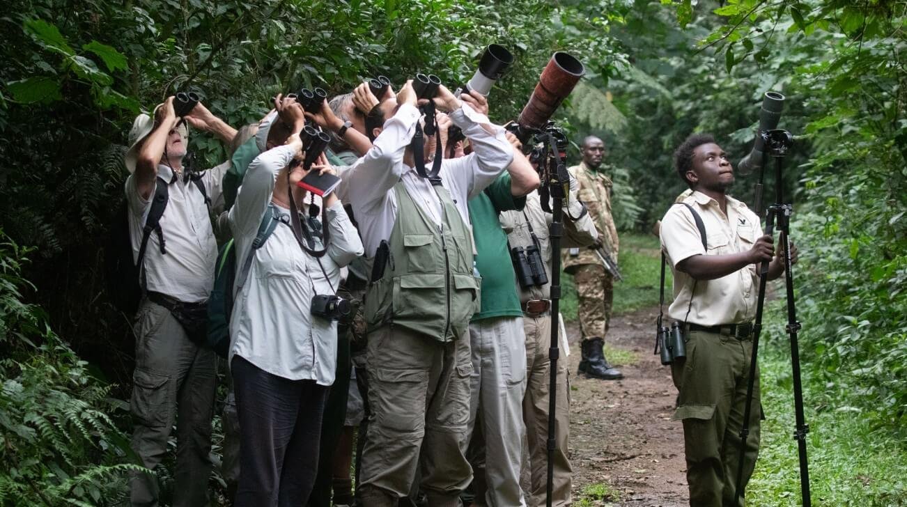 Uganda Birding Safaris | See Shoebills & 1,066+ Other Species