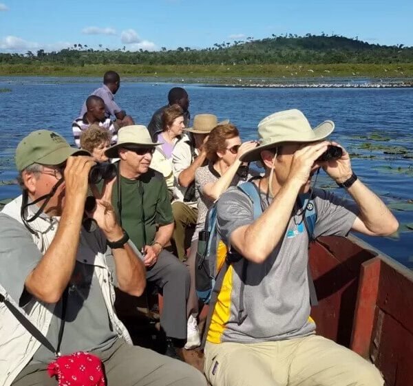 Group of birders in a small canoe, scanning the papyrus swamps of Uganda with binoculars