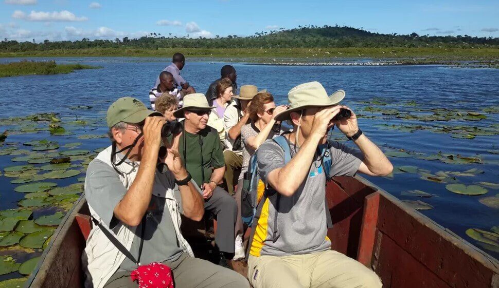 Group of birders in a small canoe, scanning the papyrus swamps of Uganda with binoculars