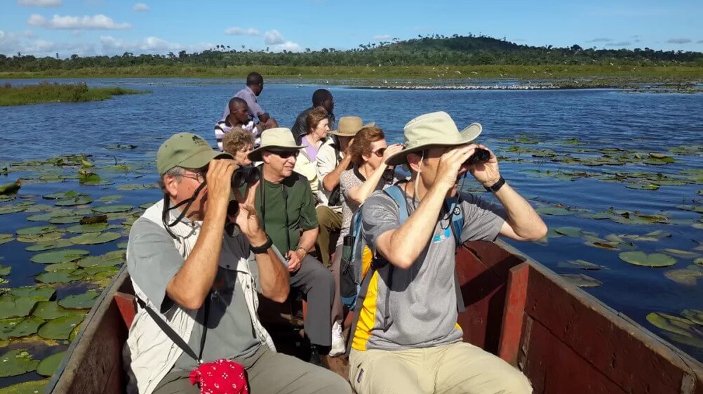 Group of birders in a small canoe, scanning the papyrus swamps of Uganda with binoculars