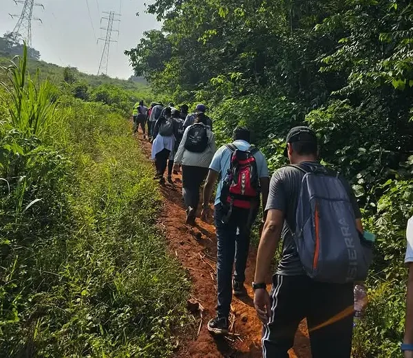 A group of tourists hiking through the dense tropical canopy of Mabira Forest on a guided nature walk.