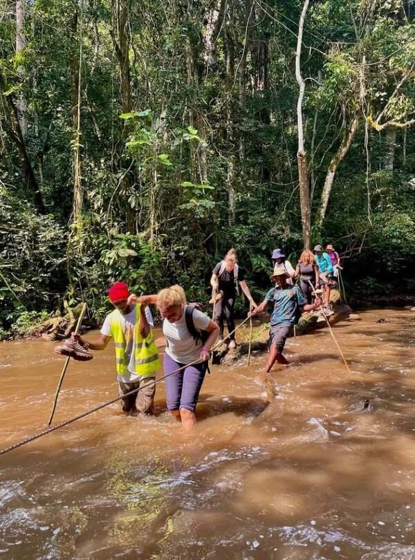 Tourists carefully wading through a shallow jungle stream during a guided trek in Mabira Forest.