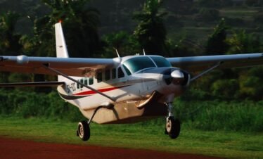 4-Day Fly-In Gorilla Trekking & Queen Elizabeth Safari