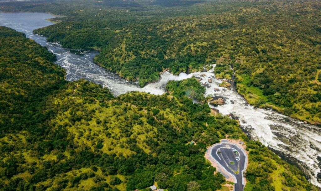 Aerial view of Murchison Falls with the Nile surging through a narrow gorge