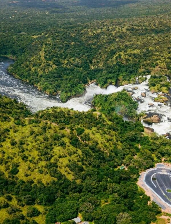 Aerial view of Murchison Falls with the Nile surging through a narrow gorge