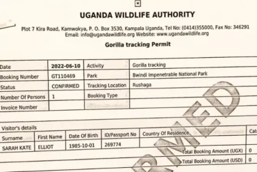 Official Uganda Wildlife Authority gorilla trekking permit issued through Dust & Echo for Bwindi Impenetrable National Park.